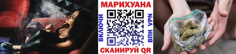 Купить где  Кириши  Марихуана сатива 